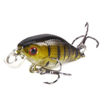Shallow CrankBait